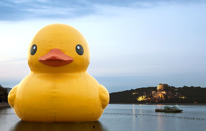 Rubber Duck